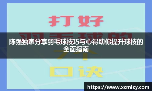 陈强独家分享羽毛球技巧与心得助你提升球技的全面指南